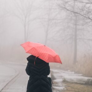 person with red umbrella walking in the rain